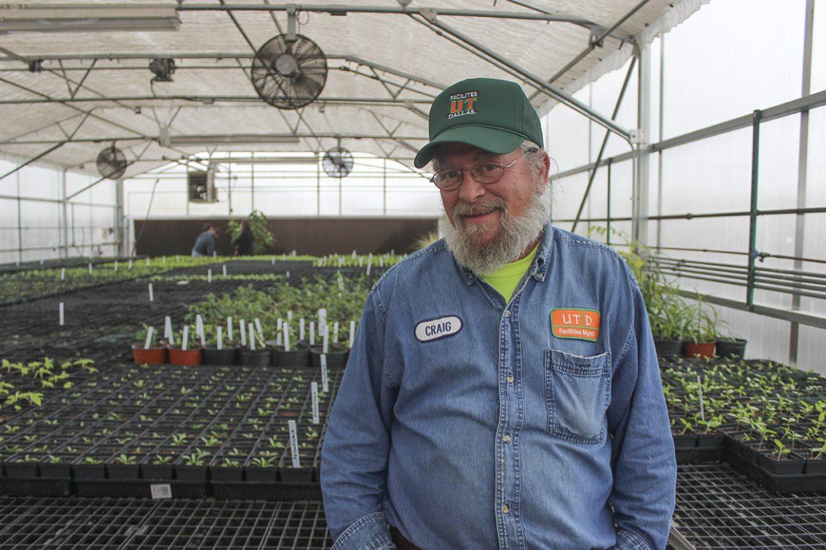 Arun Prasath|Staff
Craig Lewis, the greenhouse landscape coordinator for Facilities Management, worked to cultivate two variations of milkweed, a main larval food source for monarch butterflies. He hopes to attract more of the distinctive orange and black butterflies as they pass through North Texas during their migratory season. 