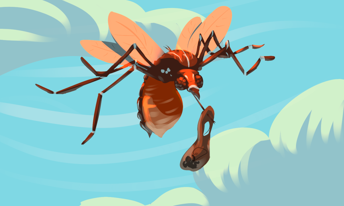 Zika shines light on reproductive rights