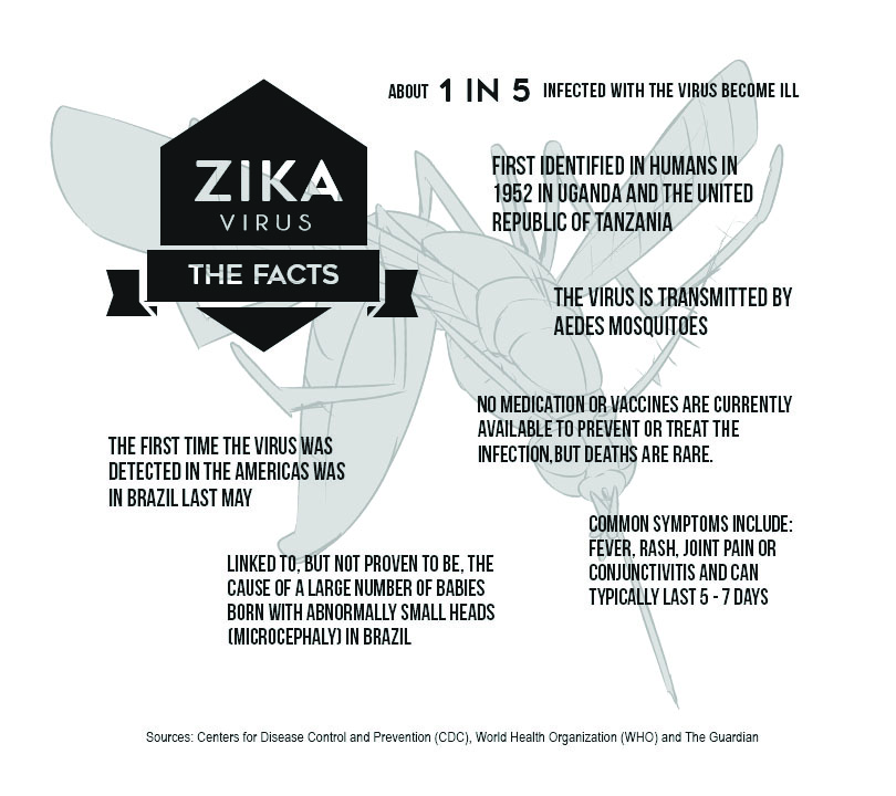 Zika Virus: The Facts