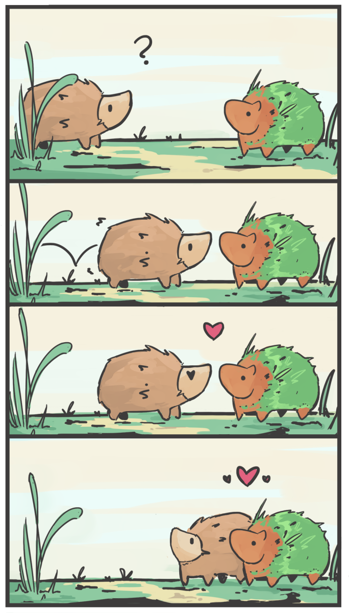 Hedgehog love