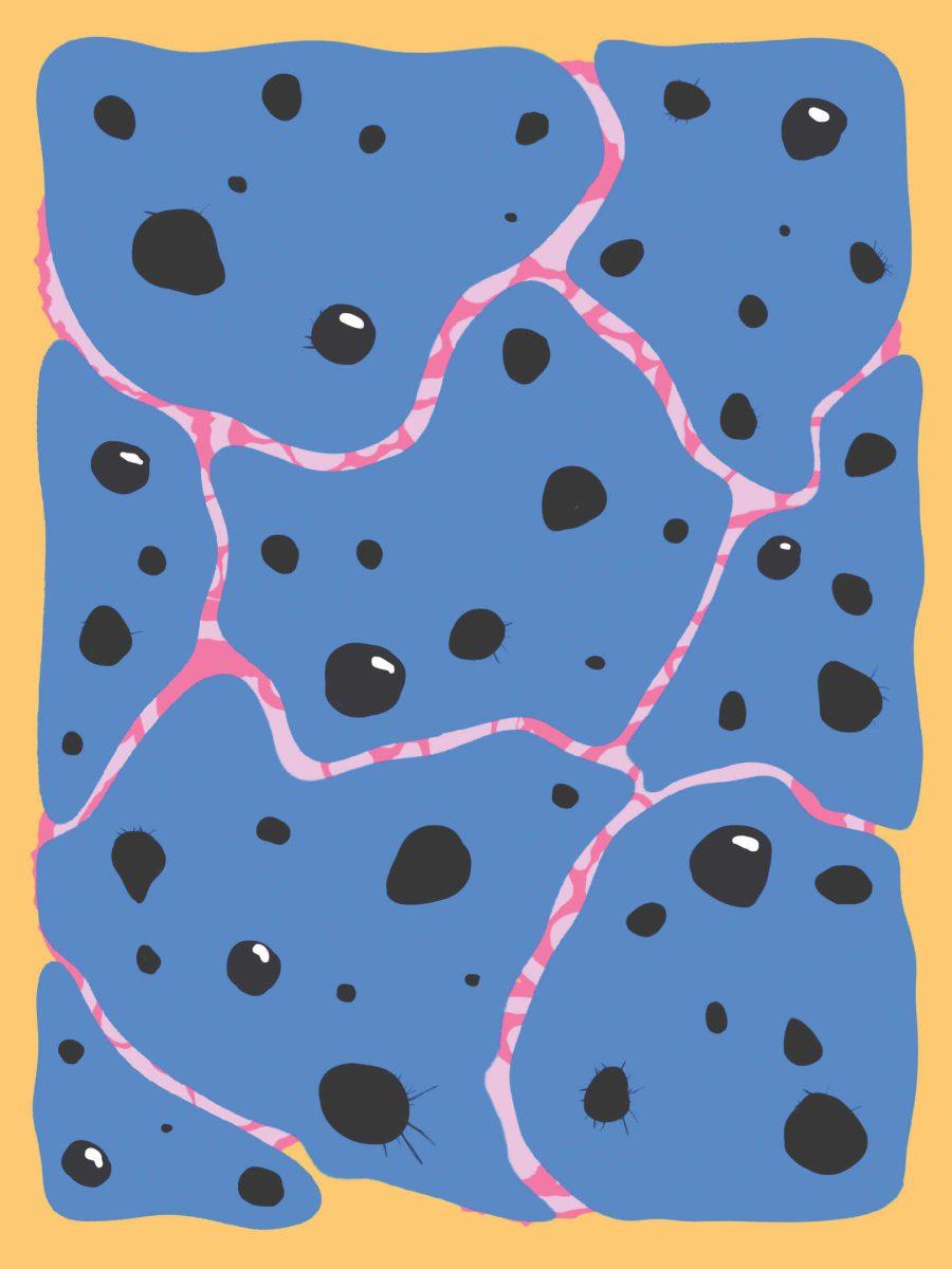 Graphic by Jacky Chao | Mercury Staff