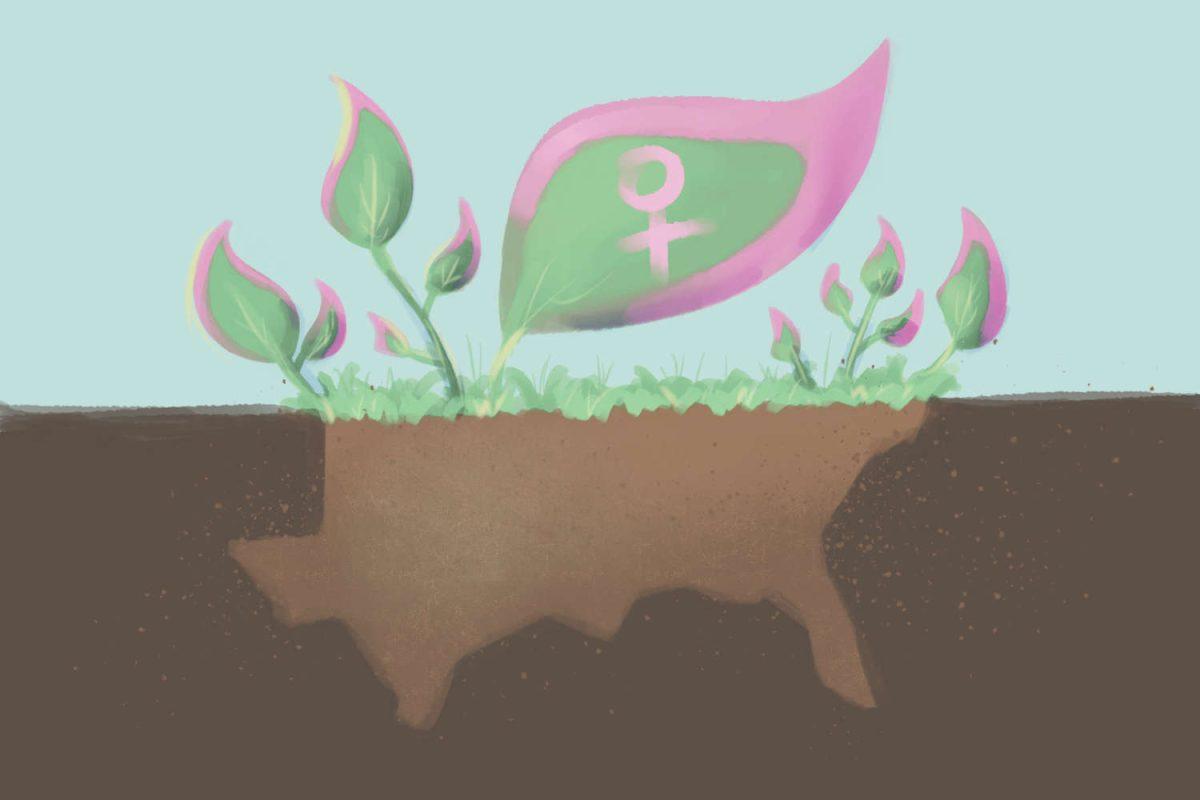 Graphic by Rainier Pederson | Mercury Staff
