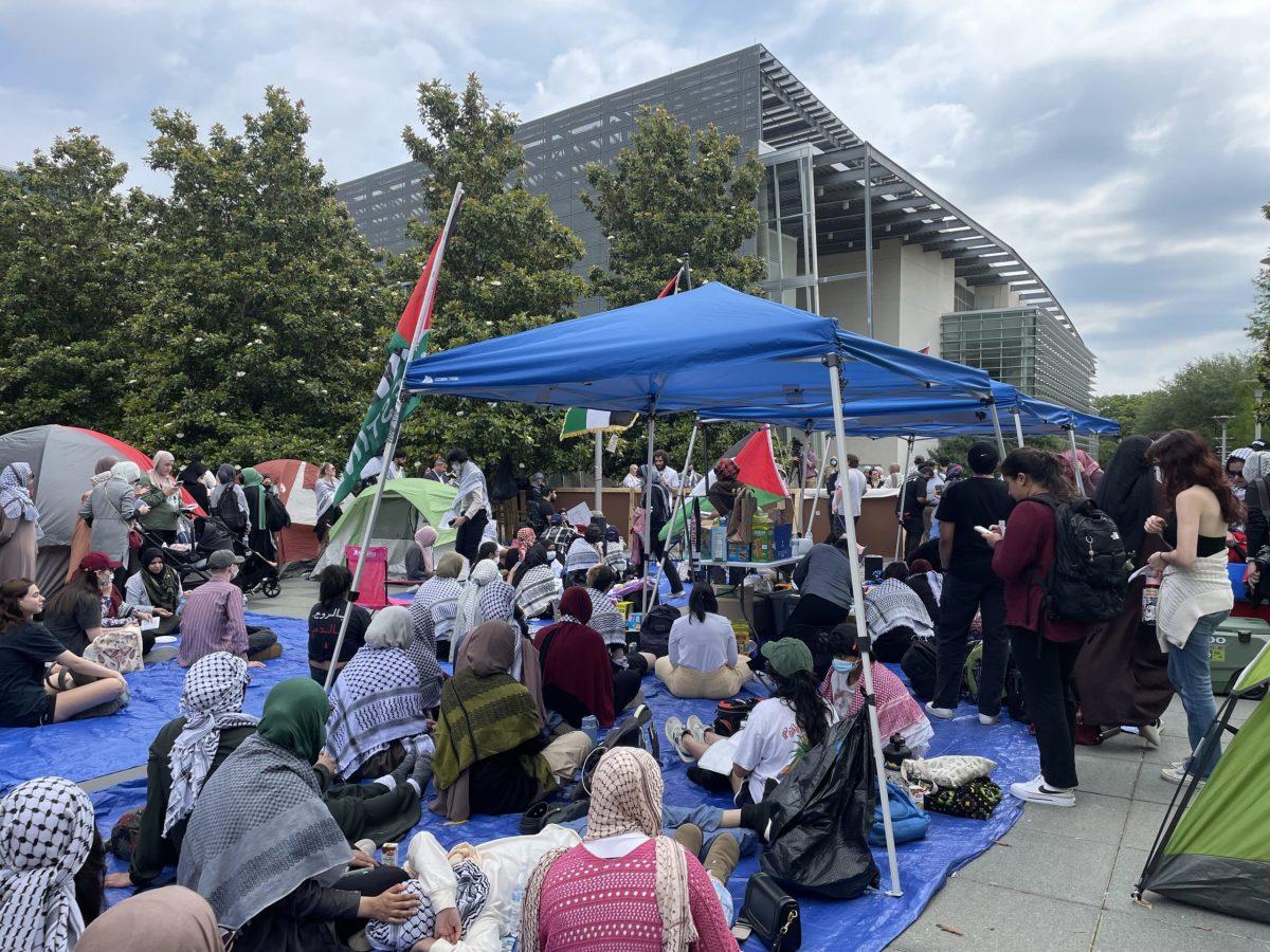 A group of protestors wearing keffiyehs and holding a Palestinian flag.